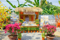 CHÙM ẢNH XUÂN BÍNH NGỌ 2026