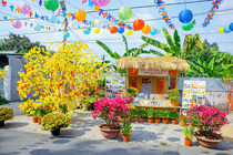 CHÙM ẢNH XUÂN BÍNH NGỌ 2026