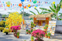 CHÙM ẢNH XUÂN BÍNH NGỌ 2026