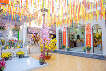 CHÙM ẢNH XUÂN BÍNH NGỌ 2026