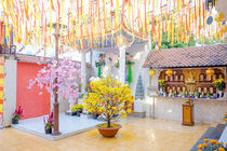 CHÙM ẢNH XUÂN BÍNH NGỌ 2026