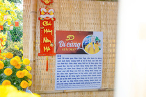 CHÙM ẢNH XUÂN BÍNH NGỌ 2026