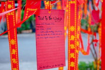 CHÙM ẢNH XUÂN BÍNH NGỌ 2026