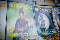 CHÙM ẢNH XUÂN BÍNH NGỌ 2026