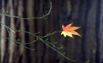 Thấu hiểu và đồng cảm