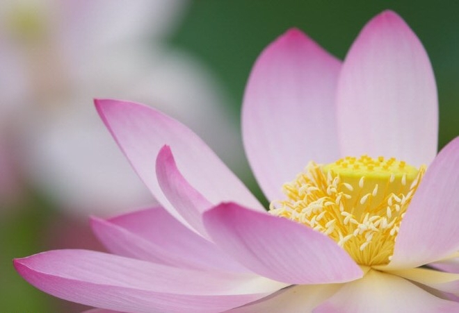 Cái gì của mình sẽ là của mình