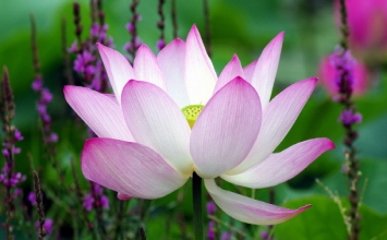 Mọi thứ chỉ là tạm thời