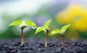 Tâm xấu bị ác báo