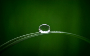 Sống với thực tại