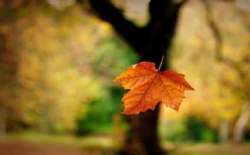 Nội tâm tĩnh lặng