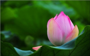 Thấy đủ thường vui