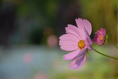 Khi nghĩ về thứ mình không có