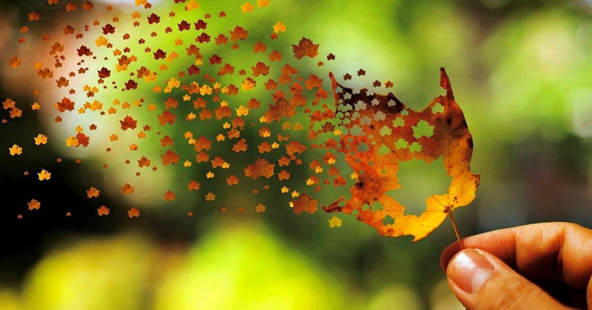 Vì sao chúng ta luôn làm tổn thương những người mình yêu mến