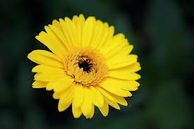 Tình yêu thương là cội nguồn của hạnh phúc