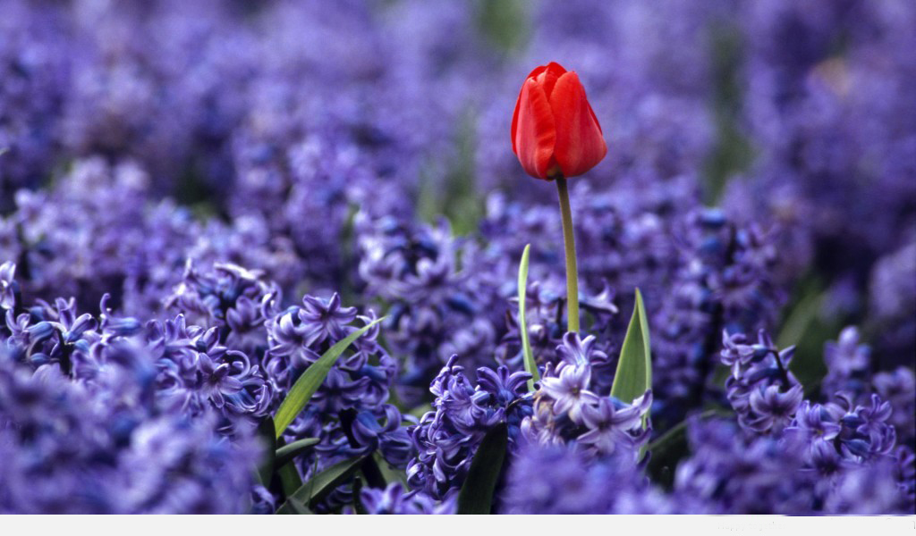 Học cách chấp nhận để thấy cuộc đời tươi đẹp hơn