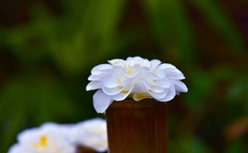 Biết đủ chính là hạnh phúc