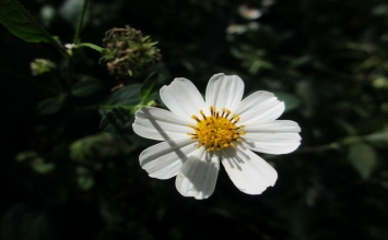 Khi ta 25 tuổi khác gì khi ta 52 tuổi