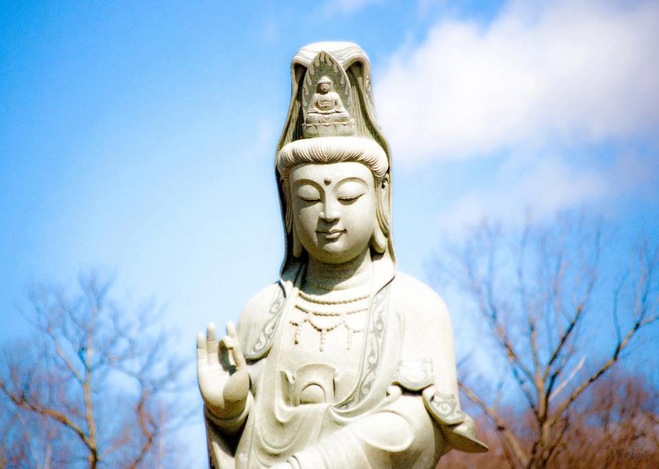 Lắng nghe với tâm từ bi