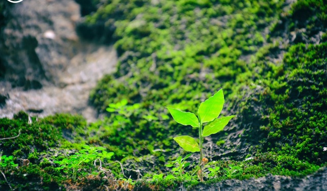 Không phải lúc nào nghèo cũng khổ