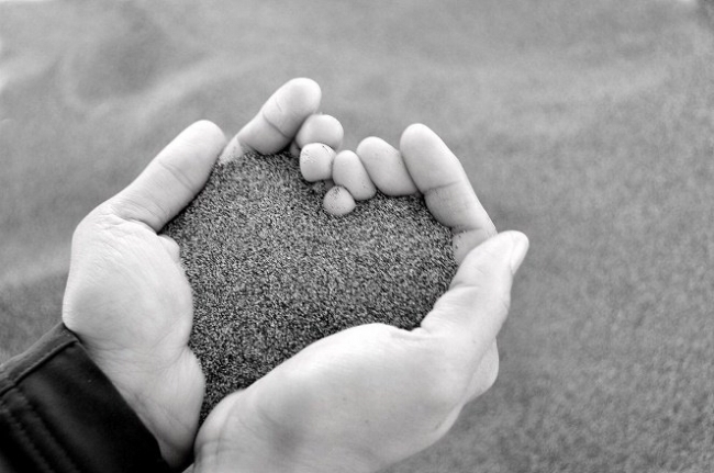 Hạnh phúc đích thực là gì?