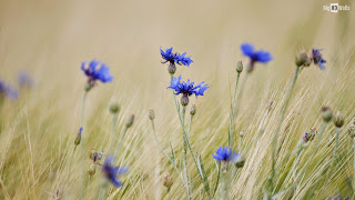 10 triết lý sống nhất định bạn phải ghi nhớ mỗi ngày