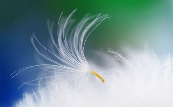 6 việc phàm là người thông minh đều tìm cách loại bỏ: Hãy xem bạn đã bỏ được mấy việc!