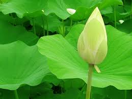 Biết đặt mình vào vị trí của người khác để hiểu và thông cảm