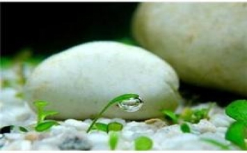 Biết cách nương tựa vào người khác