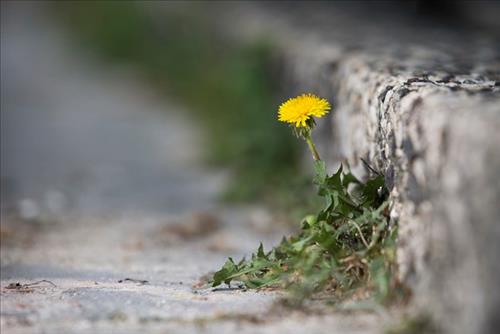 Triết gia và nhà điêu khắc