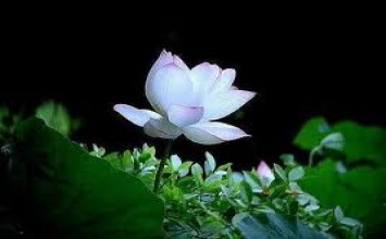 Người quân tử không hỏi những điều xấu hổ