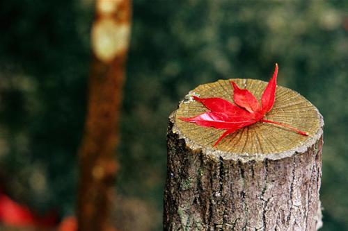 DỪNG tâm thù oán