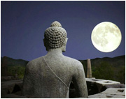 Tìm kiếm vị Thầy