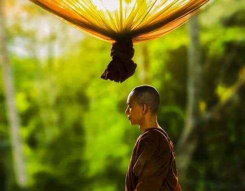 Hạnh phúc của sự buông bỏ