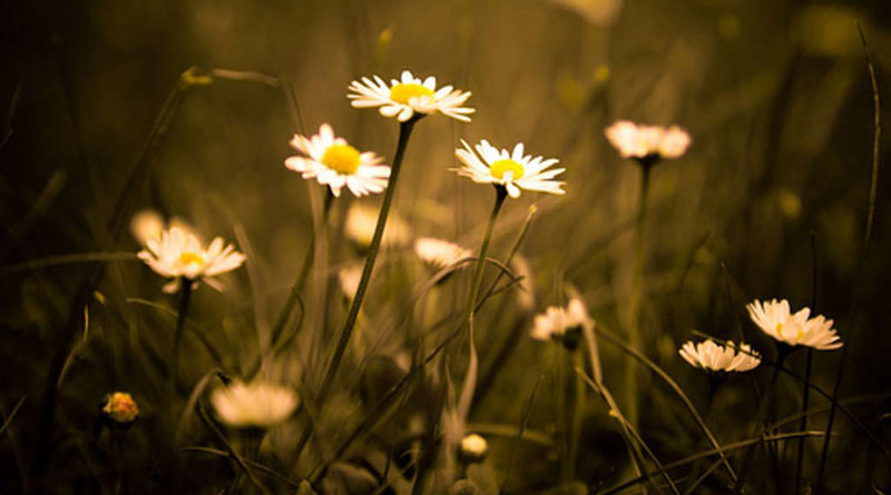 Tu trong cảnh nghèo khó