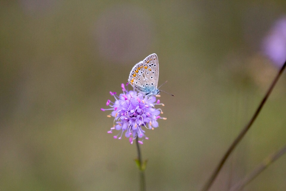 Thay đổi chính mình vì chân lý chứ không phải vì điều tiếng