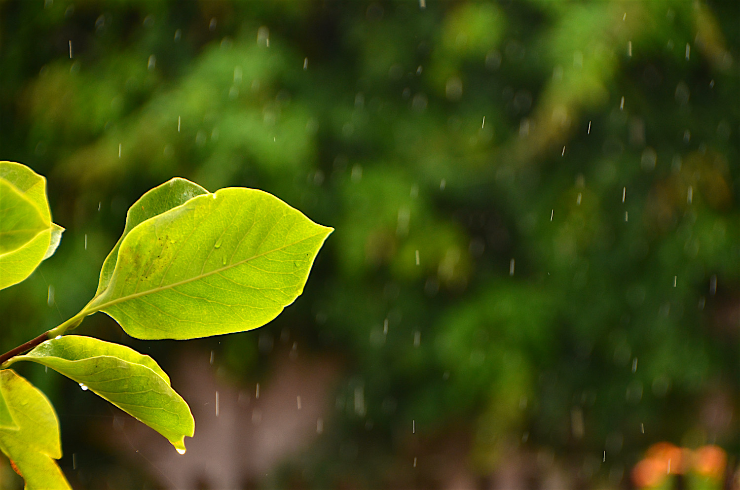 Tất cả đều đã có an bài tốt nhất