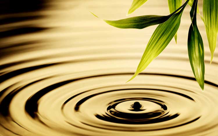 Dù tài giỏi đến đâu cũng không cách nào làm vừa lòng tất cả