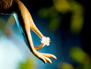 Có thù hận đừng ghi nhớ