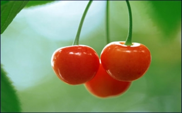 10 bài học sức khỏe