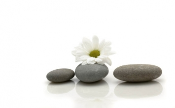 Chuyện của đoàn khảo cổ học