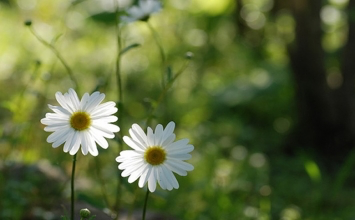 Đừng tham vọng thay đổi người khác