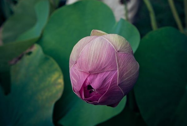 Năm mới, hãy tập chăm sóc thân tâm