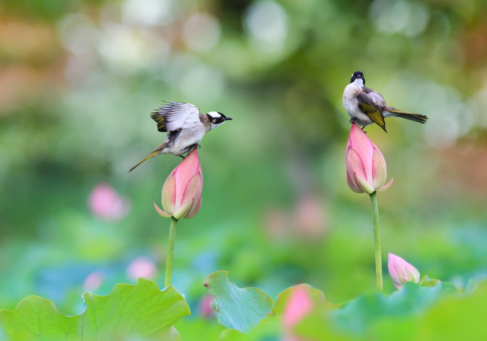 Đừng vội oán trách nghịch cảnh