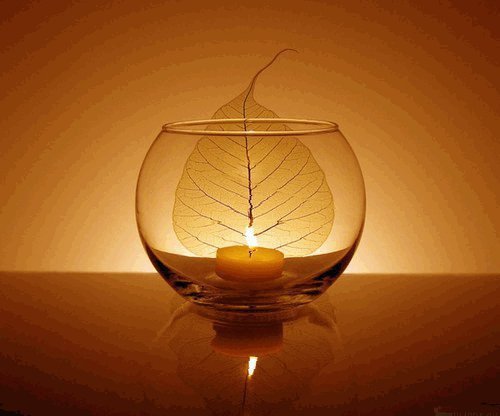 Niệm Phật và niệm Bụt