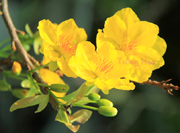 Tết là mở đầu cho một chúng ta mới hơn chính mình của ngày hôm qua