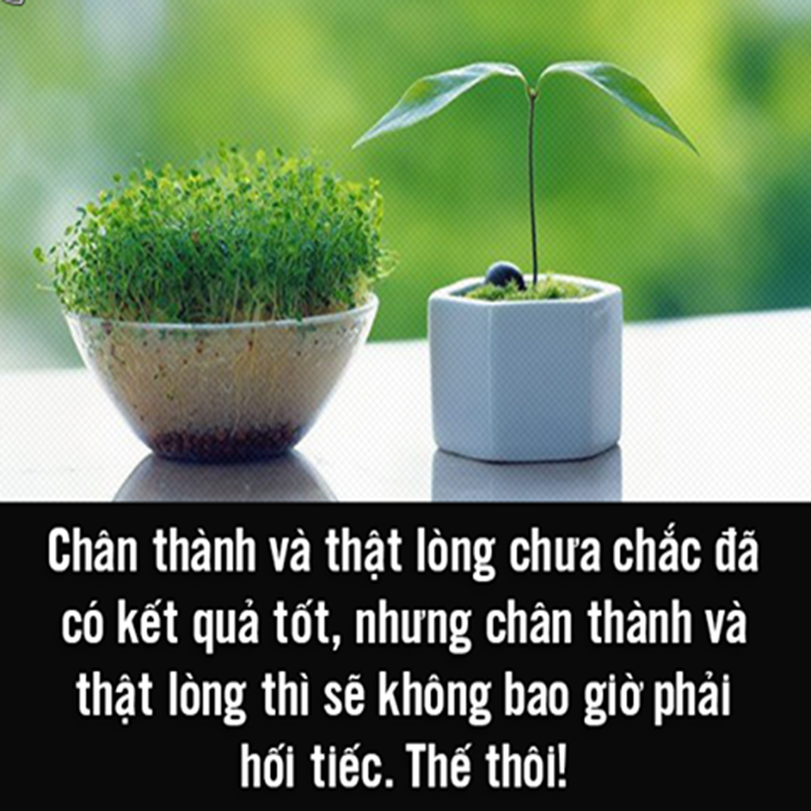 Sự chân thành và thật lòng