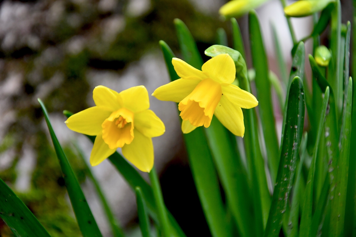 Đời của bạn là do bạn quyết định