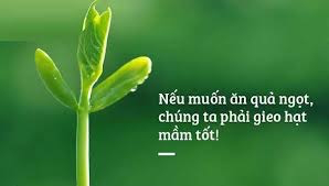 Chiếc bánh mỳ và luật nhân quả