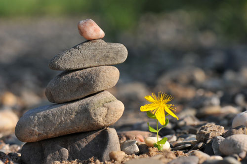 Dám đối mặt mọi sự trong cuộc đời