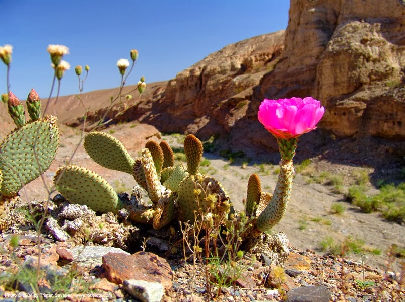 Câu chuyện về 2 hoàng tử